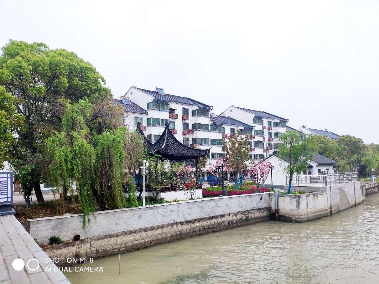 【建设青年发展型城市】净滩行动 | 团县委组织开展“‘河’我一起,保护母亲河”志愿服务活动